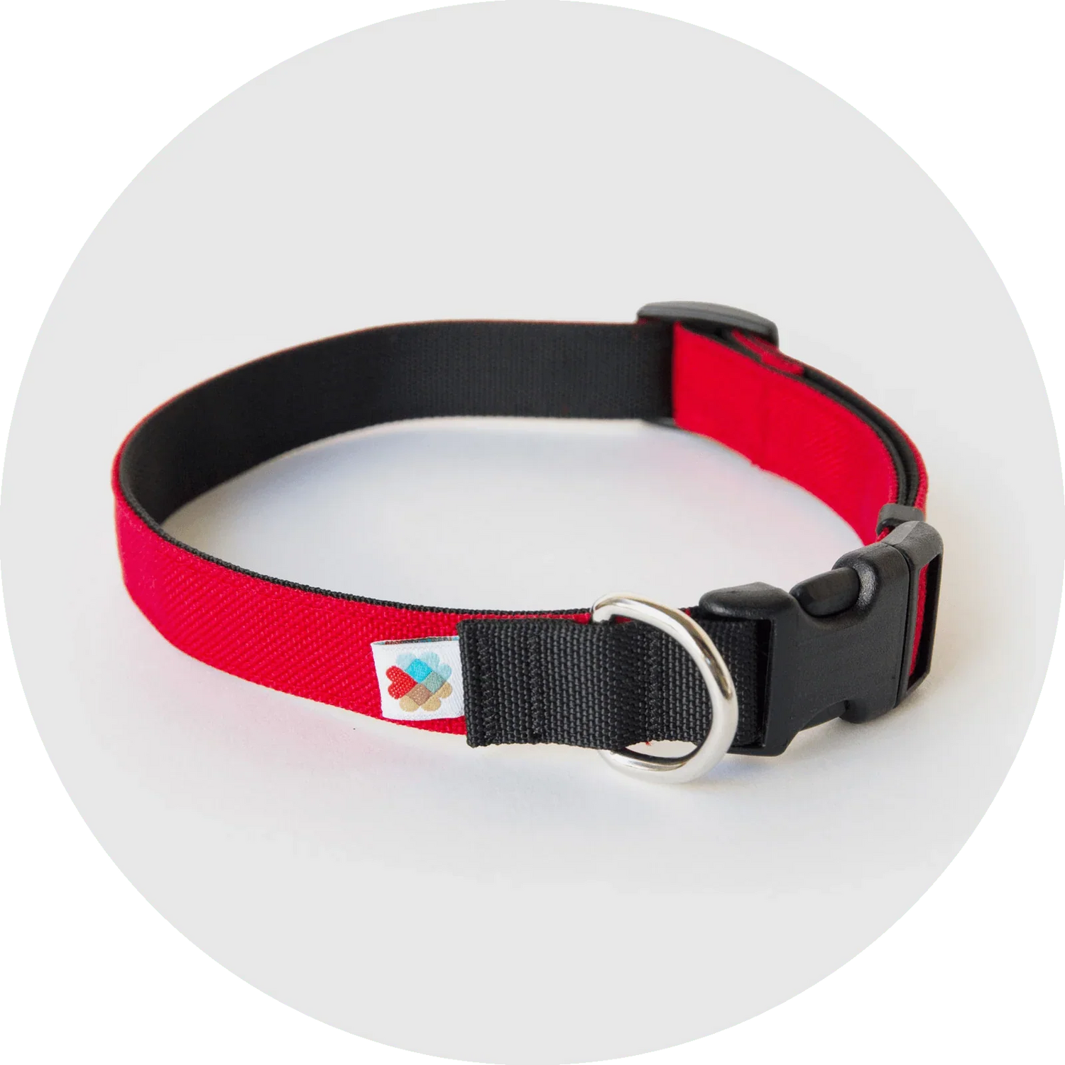 Dog Collars